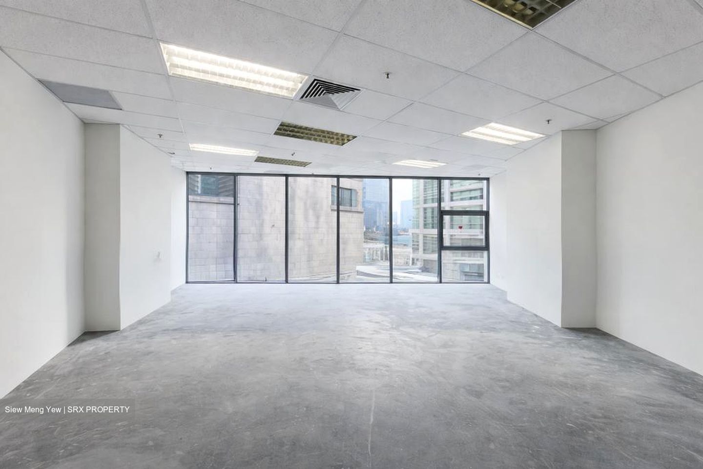 PLUS (D1), Office #517923861